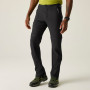 Pantaloni da uomo Regatta Mountain Z/O Trousers