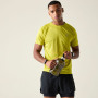 Maglietta da uomo Dare 2b Accelerate Tee