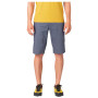 Pantaloncini da uomo Rafiki Gnar Lt