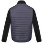 Giacca invernale da uomo Regatta ClumberIII Hybrid
