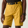 Pantaloncini da uomo Dare 2b Tuned In Pro II Short