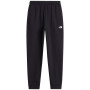 Pantaloni da tuta da uomo The North Face M Evolution Simple Dome Regular Jogger nero TNF BLACK