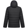 Giacca trapuntata da uomo Regatta Frankie Padded