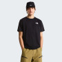 Maglietta da uomo The North Face M Evolution Box Nse Regular Short Sleeve
