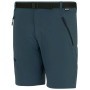 Pantaloncini da uomo Regatta Xert Stretch Shorts