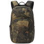 Colore: verde/marrone