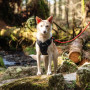 Pettorina per cane Mountain Paws Dog Harness