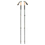 Bastoncini da trekking Black Diamond Trail Cork Trekking Poles