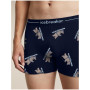 Boxer sportivi da uomo Icebreaker Men M 150 Anatomica Boxers BearTourAOP