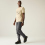 Pantaloni da uomo Regatta Tuned In Pro Zip Off II Trouser