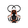 Lampada frontale Petzl Iko