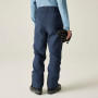 Pantaloni da uomo Dare 2b Achieve III Pant regular
