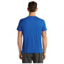 Maglietta da uomo Icebreaker Men Merino 150 Tech Lite SS Tee Range Stripes