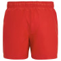 Costume da bagno da uomo Regatta Mawson Swim Shorts III