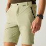 Pantaloni da uomo Regatta Anti-Insect Travel Light Z/O Trousers