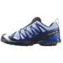 Scarpe da uomo Salomon Xa Pro 3D V9 Icon