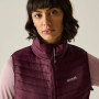 Gilet da donna Regatta Women’s Andreson Hybrid