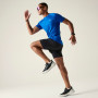 Maglietta da uomo Dare 2b Accelerate Tee