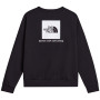 Felpa da uomo The North Face M Evolution Box Nse Regular Crew