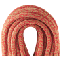 Corda da arrampicata Edelrid Boa Gym 9,8 mm 40 m