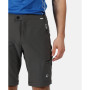 Pantaloni da uomo Regatta Highton Z/O Trs