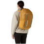 Zaino Patagonia Black Hole Pack 32L