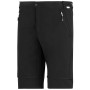 Pantaloni da uomo Regatta Mountain Z/O Trousers