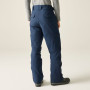 Pantaloni da uomo Dare 2b Baseplate Insulated Pant