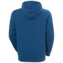 Felpa da uomo Helly Hansen HH Logo Hoodie