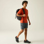 Pantaloncini da uomo Regatta Xert Stretch Shorts