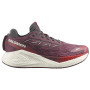 Scarpe da corsa da donna Salomon Aero Glide 4