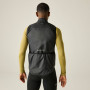 Gilet da uomo Dare 2b Chase Gilet