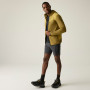 Giacca da uomo Regatta Finchdale Midlayer