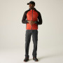 Pantaloni da uomo Regatta Anti-Insect Travel Light Z/O Trousers