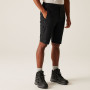 Pantaloncini da uomo Regatta Highton Shorts Long II