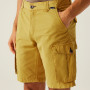 Pantaloncini da uomo Regatta Shorebay Shorts II