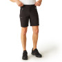 Pantaloncini da uomo Regatta Xert Stretch Shorts III