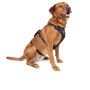 Pettorina per cane Mountain Paws 3-Strap Dog Harness