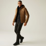 Giacca da uomo Regatta Hooded Marizion