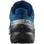 Scarpe da corsa da uomo Salomon Speedcross 6 Gore-Tex